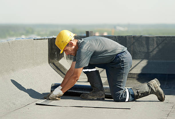 Best Attic Insulation Near Me  in Palmdale, CA